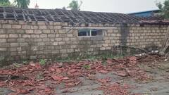 Gir Somnath Rain: ગીર પંથકમાં ૧૦ મિનિટના મીની વાવાઝોડાનો કહેર: અનેક વૃક્ષો ધરાશાયી, માર્ગ વ્યવહાર ખોરવાયો