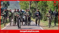 Poonch Landmine Blast : পুঞ্চে নিয়ন্ত্রণরেখা বরাবর বিকট শব্দ ! পরপর ফাটল ল্যান্ডমাইন