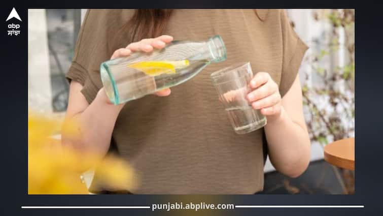Drink Water: ਆਯੁਰਵੇਦ ਅਨੁਸਾਰ ਰੋਜ਼ ਇਸ ਤਰੀਕੇ ਨਾਲ ਪੀਓ ਪਾਣੀ, 60 ਦੀ ਉਮਰ ‘ਚ ਵੀ ਰਹੇਗਾ 35 ਵਾਲਾ ਸਰੀਰ