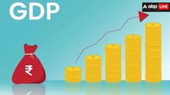 सरपट भाग रही भारत की इकोनॉमी, जनवरी-मार्च तिमाही में GDP ग्रोथ 6.8 परसेंट रहने का अनुमान; एक्सपर्ट्स ने बताई वजह