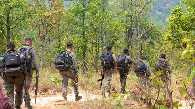 Naxalite Killed In Encounter With Security Forces In Chhattisgarh
