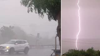 Amreli Rain: અમરેલી શહેર અને જિલ્લામાં વીજળીના કડાકા અને ગાજવીજ સાથે ધોધમાર વરસાદ