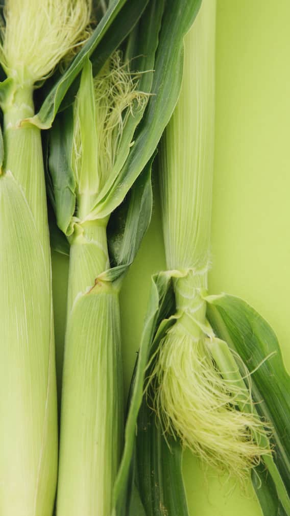 மக்காச்சோளம் சாப்பிட்டால் இதை வேஸ்ட் பண்ணாதீங்க!