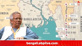 India Bangladesh Trade : বাংলাদেশেই ভারত বিরোধিতা চরমে, 'ভাতে মারা'র কৌশল নয়াদিল্লির, এপারে একাধিক পণ্যের আমদানি বন্ধে লোকসানের মুখে ইউনূস সরকার !