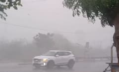 Amreli Rain: અમરેલી શહેર અને જિલ્લામાં વીજળીના કડાકા અને ગાજવીજ સાથે ધોધમાર વરસાદ