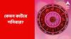 Daily Astrology: বৈবাহিক সম্পর্কে ফাটলের আশঙ্কা, বিগড়ে যেতে পারে স্বাস্থ্য; কী বলছে আপনার রাশিফল?