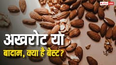 भीगे हुए बादाम या भीगे हुए अखरोट, ब्रेन हेल्थ के लिए क्या ज्यादा फायदेमंद?