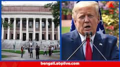 Harvard University : আবার ট্রাম্পের রোষে, আর বিদেশি পড়ুয়া ভর্তি নিতে পারবে না হার্ভার্ড বিশ্ববিদ্যালয়