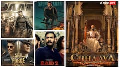 Top 10 Films Of 2025: 'छावा' से लेकर 'रेड 2' तक, साल 2025 में इन 10 फिल्मों ने मचाया धमाल, लूट लिया बॉक्स ऑफिस