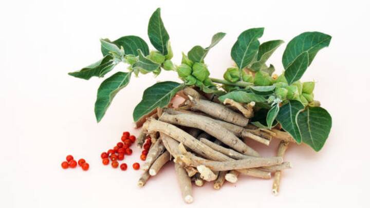Inputs By: Rudra Chatterjee, Managing Director, Luxmi Tea Group (Image Source: iStockphoto)