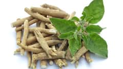 How Ashwagandha Helps The Body Handle Stress Naturally