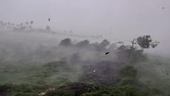 Gir Somnath Rain: ગીર પંથકમાં ૧૦ મિનિટના મીની વાવાઝોડાનો કહેર: અનેક વૃક્ષો ધરાશાયી, માર્ગ વ્યવહાર ખોરવાયો