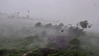 Gir Somnath Rain: ગીર પંથકમાં ૧૦ મિનિટના મીની વાવાઝોડાનો કહેર: અનેક વૃક્ષો ધરાશાયી, માર્ગ વ્યવહાર ખોરવાયો