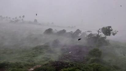 Rain Alert: ગીર સોમનાથ જિલ્લાના ગીર નજીકના ગામોમાં અચાનક ત્રાટકેલા વાવાઝોડાએ ભારે તારાજી સર્જી.