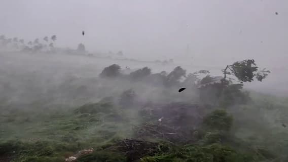 Gir Somnath Rain: ગીર પંથકમાં ૧૦ મિનિટના મીની વાવાઝોડાનો કહેર: અનેક વૃક્ષો ધરાશાયી, માર્ગ વ્યવહાર ખોરવાયો