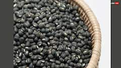 Shani Pradosh Vrat 2025: शनि प्रदोष व्रत में शिव जी पर चढ़ाएं ये 3 अनाज, शनि की टेढ़ी नजर से मिलेगी राहत