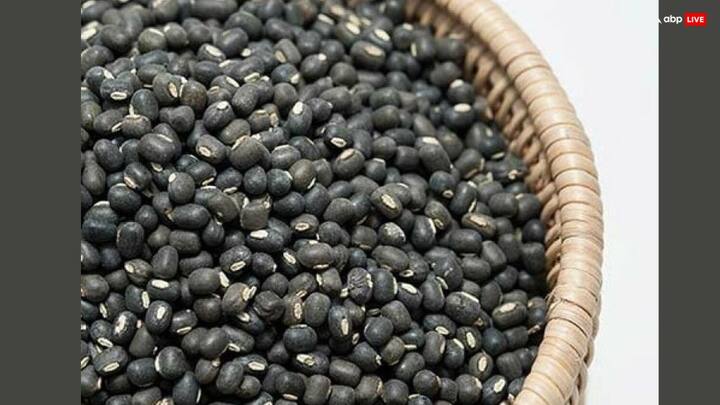 शिवलिंग पर तमाम तरह के अनाज चढ़ाए जाते हैं. मान्यता है कि शनि प्रदोष व्रत में शिवलिंग पर काली उड़द की दाल चढ़ाने से व्यक्ति जीवन की कठिनाइयों, चुनौतियों और हानिकारक ग्रहों के प्रभाव से मुक्त हो जाता है.