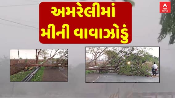 Amreli Heavy Rain : અમરેલીમાં મીની વાવાઝોડું, ગાજવીજ અને ભારે પવન સાથે ધોધમાર વરસાદ