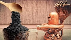 Shani Pradosh Vrat 2025: शनि प्रदोष व्रत में शिव जी पर चढ़ाएं ये 3 अनाज, शनि की टेढ़ी नजर से मिलेगी राहत