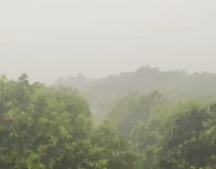 Junagadh Rain: વંથલી- માંગરોળ પંથકમાં ભારે પવન સાથે ધોધમાર વરસાદ  