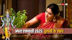 Apara Ekadashi 2025: अपरा एकादशी पर आज करें तुलसी का ये उपाय