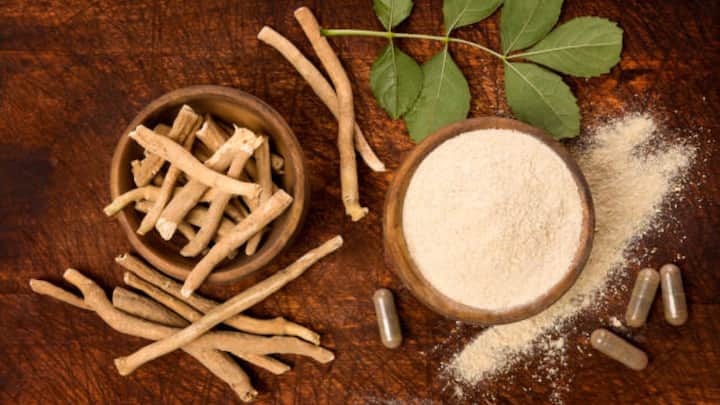 Rooted in Ancient Healing: Ashwagandha, known as the ‘King of Ayurvedic Herbs,’ has long been a cornerstone of Ayurveda. Traditionally prescribed to strengthen vitality and balance the ‘doshas’. It was used to soothe nerves, boost stamina, and restore harmony. It was never just medicine—it was a mindful ritual. In every culture it touched, Ashwagandha was not just consumed but revered. (Image Source: iStockphoto)