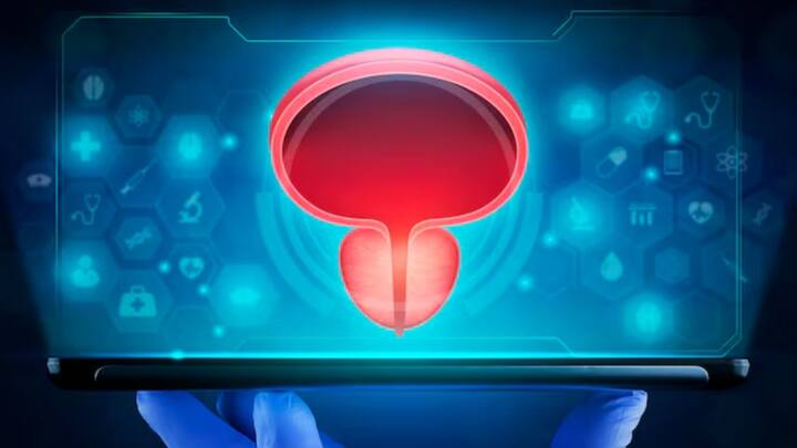 ডায়ালিসিস করতে গিয়েও সমস্যা হচ্ছিল। অস্কারের শরীরে তরল জমা হচ্ছিল। সেই পরিস্থিতিতে কৃত্রিম উপায়ে অস্কারের শরীর থেকে তরল বের করার ব্যবস্থা করে দেন চিকিৎসকরা। কিন্তু অস্কারের সমস্যার কথা ভোলেননি চিকিৎসক নিমা নাসিরি এবং ইন্দ্রবীর গিল। মূত্রথলি প্রতিস্থাপন নিয়ে কিছু বছর ধরেই গবেষণা করছিলেন তাঁরা। ছবি: ফ্রিপিক।