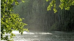 मान्सून गोव्याच्या वेशीवर , पुढच्या दोन दिवसात महाराष्ट्रात...