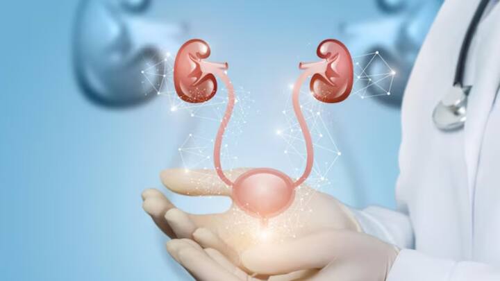 চিকিৎসক নিমা ও চিকিৎসক ইন্দ্রবীর জানিয়েছেন, এই সাফল্য হাজার হাজার রোগীকে আশা জোগাবে। তাঁদের মতে, এতদিন কৃত্রিম উপায়ে শরীর থেকে তরল বের করা হতো। কখনও রোগীর তলপেটের বাইরে ঝোলানো ব্যাগে জমা হতো মূত্র, কখনও আবার নিওব্ল্যাডার বা এক ধরনের কৃত্রিম থলে শরীরে বসানো হতো। ছবি: ফ্রিপিক।