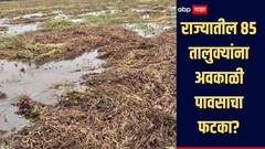 राज्यातील 85 तालुक्यांना अवकाळी पावसाचा फटका, 22 हजार 233 हेक्टरवरील क्षेत्र बाधित 