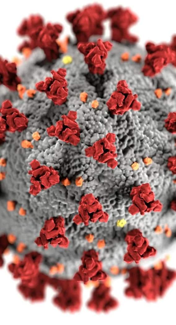 इंसानों में वायरस कैसे फैलते हैं?