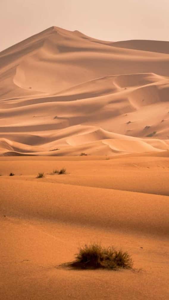 रेगिस्तान रात में ठंडे क्यों होते हैं?