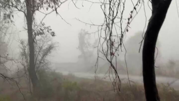 છોટાઉદેપુર જિલ્લામાં આકરી ગરમી બાદ મેઘરાજાની પધરામણી થઈ છે, જેના કારણે વાતાવરણમાં ઠંડક પ્રસરી ગઈ છે. આજે (૨૪ મે, ૨૦૨૫) કવાંટ તાલુકાના પાનવડ ગામ અને તેની આસપાસના વિસ્તારોમાં ધોધમાર વરસાદ નોંધાયો છે.