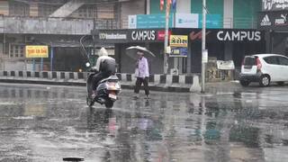 દક્ષિણ ગુજરાતમાં તોફાની વરસાદનો કહેર: વલસાડ, સુરત, નવસારી, તાપીમાં ધોધમાર; અનેક કાચા પાકા મકાનો અને વૃક્ષોને નુકસાન