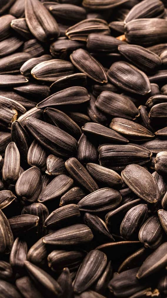 सूरजमुखी के बीज खाने के क्या तरीके हैं?