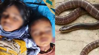 रात्री झोपेत सर्पदंश झाला पण समजलं नाही, बीडच्या धारूर तालुक्यात बहिण भावाचा मृत्यू, गावात हळहळ