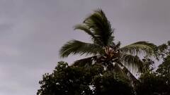 West Bengal Weather: তুমুল বৃষ্টি, এলোমেলো হাওয়া, মেঘের তর্জন-গর্জন, কোথায় কোথায় দুর্যোগ আজ?