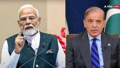 जुलाई में UNSC का अध्यक्ष बनेगा पाकिस्तान, भारत के लिए खड़ी कर सकता है मुसीबतें, सामने हैं ये चुनौती