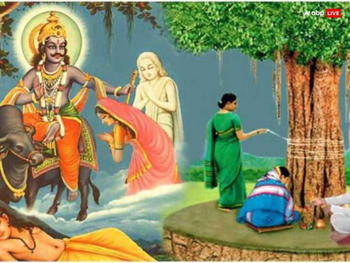 इस व्रत में बरगद के पेड़ की पूजा का महत्व है. कहते हैं कि ज्येष्ठ अमावस्या के दिन यमराज ने देवी सावित्री के पति सत्यवार को बरगद के पेड़ के नीचे ही पुन: जीवित किया था. इस पेड़ को अक्षय वट माना जाता है, क्योंकि इसका कभी क्षय नहीं होता. यही वजह है कि इस व्रत में वट वृक्ष की पूजा की जाती है.