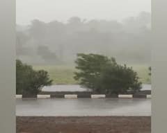 Gujarat Rain Update:રાજ્યના આ જિલ્લામાં ભારે પવન સાથે અનરાધાર વરસાદ, જાણો શું છે સ્થિતિ