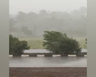 Gujarat Rain Update:રાજ્યના આ જિલ્લામાં ભારે પવન સાથે અનરાધાર વરસાદ, જાણો શું છે સ્થિતિ