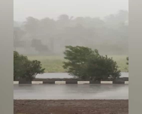 Gujarat Rain Update:રાજ્યના આ જિલ્લામાં ભારે પવન સાથે અનરાધાર વરસાદ, જાણો શું છે સ્થિતિ