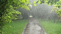 मान्सून गोव्याच्या वेशीवर , पुढच्या दोन दिवसात महाराष्ट्रात...