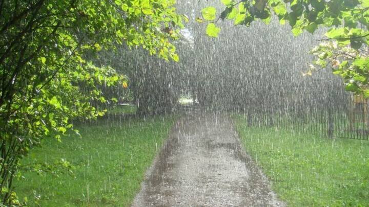 मान्सून (Monsoon) अखेर केरळमध्ये (Kerala) दाखल झाला असल्याची घोषणा भारतीय हवामान खात्याने केली आहे. आठ दिवस आधीच मान्सूनने केरळमध्ये दाखल झाला आहे.