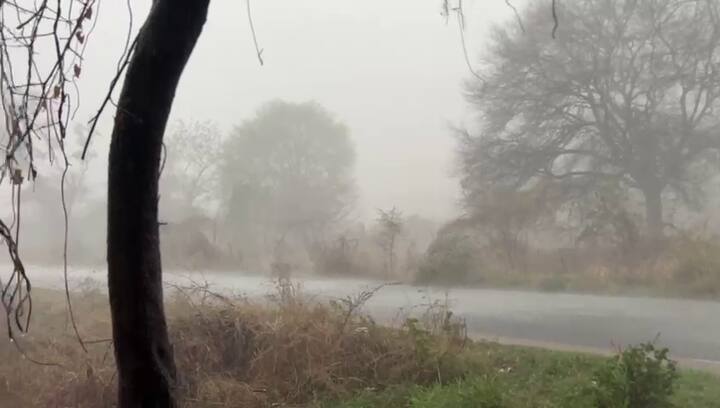 જોકે, આ અચાનક બદલાયેલા હવામાન અને ભારે પવનને કારણે સંભવિત નુકસાન અંગે કોઈ સત્તાવાર વિગતો હજુ પ્રાપ્ત થઈ નથી.