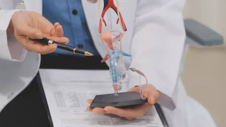 কিন্তু ওই পদ্ধতিতে সংক্রমণের ঝুঁকি থাকতই। আবার নানা ধরনের সমস্যাও দেখা দিত রোগীর শরীরে। ইলেকট্রোলাইটের ভারসাম্য নষ্ট হতে হতে কিডনিও বিকল হতে শুরু করত। মূত্রথলি প্রতিস্থাপনের ফলে সেই ঝুঁকি আর থাকবে না বলে আশাবাদী চিকিৎসক নিমা ও ইন্দ্রবীর। ছবি: ফ্রিপিক।