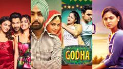 Bhool Chuk Maaf एक्ट्रेस ने सिर्फ हिंदी ही नहीं, अलग-अलग भाषाओं में भी की हैं ये शानदार फिल्में