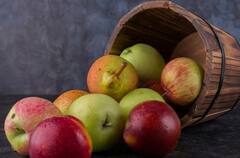 किडनी को फिल्टर की तरह साफ कर देंगे ये 6 स्वादिष्ट फल, खाते ही सारी गंदगी हो जाएगी बाहर