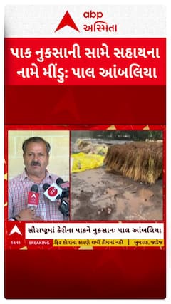 Pal Ambaliya: ખેડૂતોને સહાય મુદ્દે ગુજરાત પ્રદેશ કિસાન કોંગ્રેસના પ્રમુખે સરકાર પર લગાવ્યા આક્ષેપ