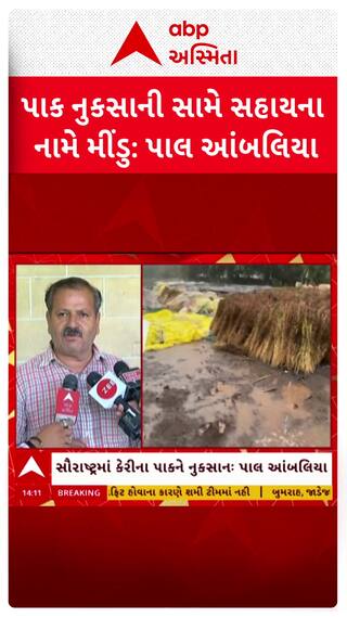 Pal Ambaliya: ખેડૂતોને સહાય મુદ્દે ગુજરાત પ્રદેશ કિસાન કોંગ્રેસના પ્રમુખે સરકાર પર લગાવ્યા આક્ષેપ